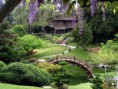 /album/japonsko/japonska-zahrada-jpg/